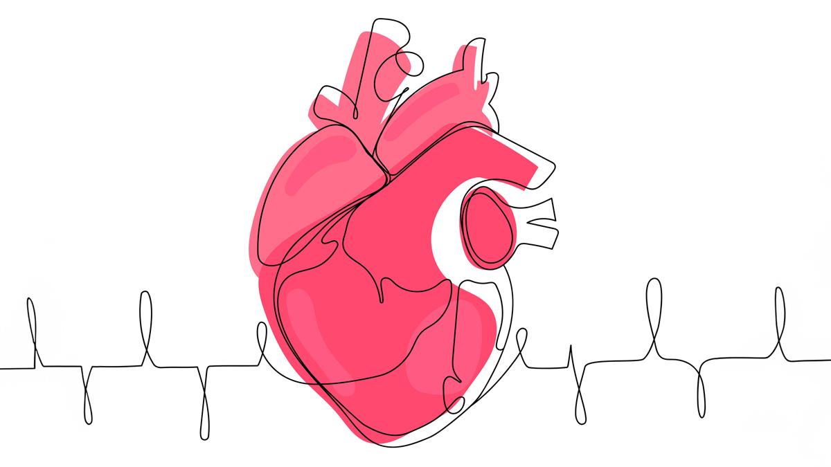 heart illustration